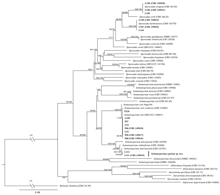 The figure as published in the paper
