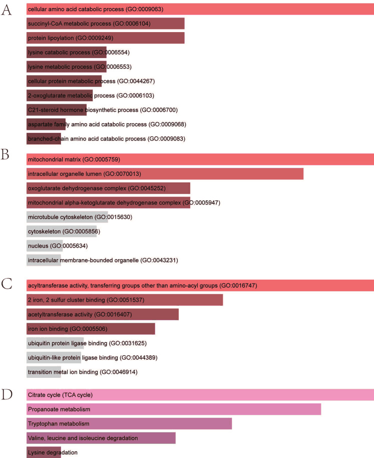 The figure as published in the paper